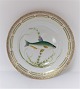 Royal Copenhagen. Fauna Danica. Fisketallerken. Middags tallerken. Model # 19 - 
3549. Diameter 25 cm. (1 sortering). Abramis vimba