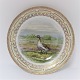 Royal Copenhagen. Fauna Danica. Jagtstel.  Middags tallerken. Model # 240A - 
3549. Diameter 25 cm. (1 sortering). Anser albifrons