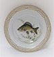 Royal Copenhagen. Fauna Danica. Fisketallerken. Middags tallerken. Model # 19 - 
3549. Diameter 25 cm. (1 sortering). Cyprinus carpio