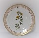 Royal Copenhagen, Flora Danica. Frokost tallerken. Design #3550. Diameter 22 cm. 
(1 sortering). Medicago falcata L