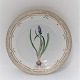 Royal Copenhagen, Flora Danica. Middags tallerken. Design #3549. Diameter 25 cm. 
(1 sortering). Muscari botryoides