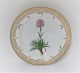 Royal Copenhagen, Flora Danica. Frokost tallerken. Design #3550. Diameter 22 cm. 
(1 sortering). Viscaria alpina