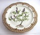 Royal Copenhagen. Flora Danica privat malet. Rundt fad. Diameter 33,5 cm. (3 
sortering)